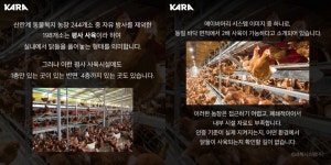 A4 한 장 허락된 공장식 사육 동물복지의 퇴보