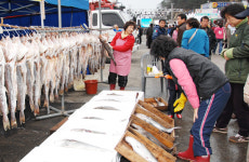 거제대구&수산물축제 13일 개막