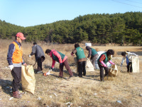 하청면, 옆개해수욕장 정화활동