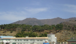 거제 동산숲 정비 ... 옛 모습 되찾다