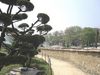 고성 학동마을 옛 돌담길 향수