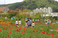 거제시 장평동 시민과 함께하는 꽃 잔치