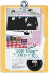 브라운아이드소울, 방송 활동 대신 전국투어 콘서트