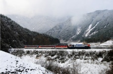 눈꽃 만개한 겨울기차여행 떠나요~