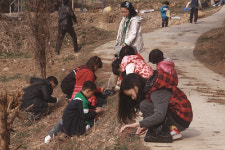 외간초, 학생과 학부모가 쑥 캐는 학교