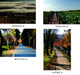 아름다운 경기도 길 66곳, 관광객을 유혹한다