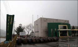 [취재] 메주와 첼리스트 연천군에서 만나다