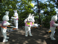 산들애 거대토끼, 서울 전역에 깜짝 출몰