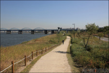 [정보] 서울 한강변 웰빙 산책로 베스트 10