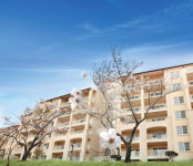 마우나오션리조트, 봄 패키지 출시