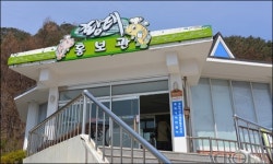 [취재] 대한민국 황태의 고향 용대리 황태마을