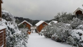 제주도 가족독채팬션 `중문올레펜션` 1박 무료이벤트 실시