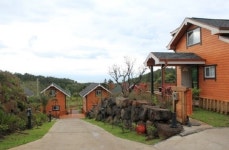 제주도 가족독채팬션 중문올레펜션 5월 가족의 달 1박무료 이벤트