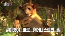 ‘TV 동물농장’ 탈출의 귀재 킨카주 킨콩이 & 눈 먼 고양이 양이와 아저씨의 훈훈한 우정