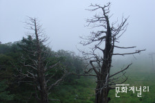 “시인의 향기”가 온 세상에 전파되길….