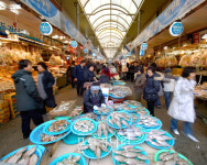 동해안의 명소 죽도시장서 회 쪼매 어때요?