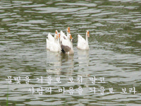 물빛을 거울로 보지 말고 사람의 마음을 거울로 보라