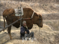 워낭소리 30만관객 돌파 흥행돌풍 어디까지?