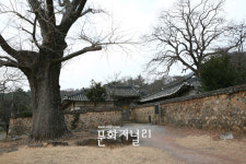 살아있는 민속박물관, 흘러넘치는 전통미