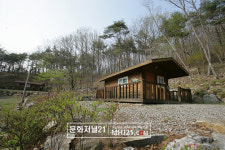 주말에 즐기는 ‘산림욕’, 떠나자 ‘휴양림여행’