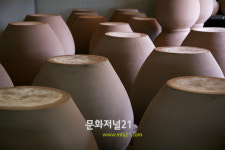 6월에는 우리 마을로 놀러 오세요