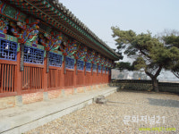 率禮村(솔례촌) 玄風郭氏 12旌閭閣(현풍곽씨 12정려각)