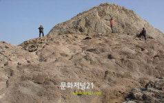진도 동거차도 유문암질 응회암 천연기념물 된다