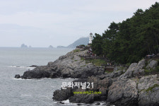 동백섬 등대를 향해 가는길