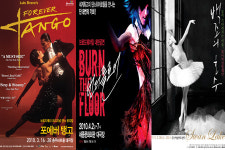 무대는 지금 춤바람?! 세대와 국적을 초월한 춤의 항연