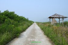 포토 쭉 뻗은 농로