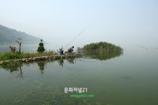 포토 태공들의 삼복더위속 망중한