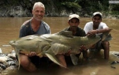 인도 괴물 메기 등장 장정 3명도 버거운 크기 화제만발