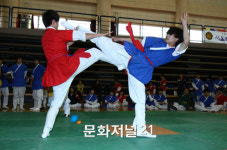 태권도에 지지 않는 택견의 발차기
