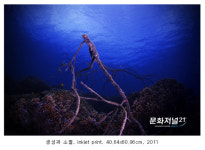 이새벽 ‘生成과 消滅_생성과 소멸’ 展