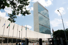 유엔에서 만난 한국의 두뇌 리더들