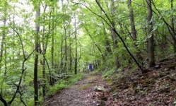 사람이여, 그대의 고향 자연으로 돌아가자