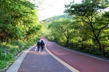 이 좋은 가을, 연인과 함께하기 좋은 곳