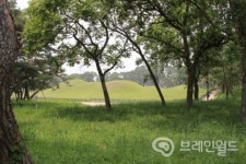 [포토] 알영정에서 바라 본 오릉