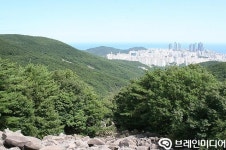 마고당에 오르니 해운대가 보이는구나!