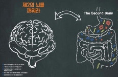[집중리포트] 제2의 뇌를 깨워라