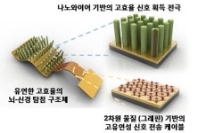 뇌와 기계를 연결하는 고효율 뇌신경 탐침 개발