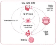 건강하려면  이제는 장腸의 속삭임에 귀 기울여야 한다