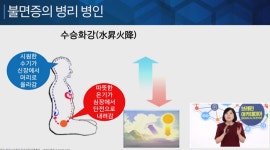 [수면 국제포럼] 불면에 대한 한의학적 관점: 윤미나 한의사