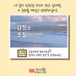 [브레인 명상] 감정을 조절하려면