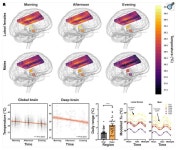 [의학칼럼] 당신의 뇌는 열받고 있다