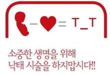 프로라이프醫  '낙태근절' 견해차로 조직 분리