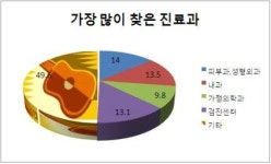 2010년도 한국 외국인 의료관광 실적은?