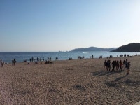부산국제영화제, 이런 식으로는 안된다