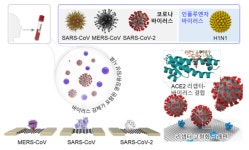 한국생명공학연구원, 신‧변종 호흡기 바이러스 현장 신속진단 플랫폼 개발