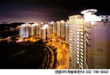 투자활성화 대책 유력·유망 부동산, 영종도